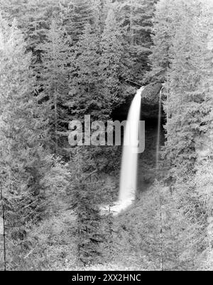 BW01995-00....OREGON - North Falls im Silver Falls State Park. Stockfoto