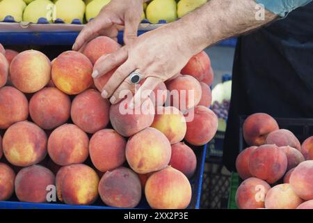 Köstliche und frische Pfirsiche sind in Ihrem lokalen Marktkorb erhältlich und können heute erworben werden Stockfoto
