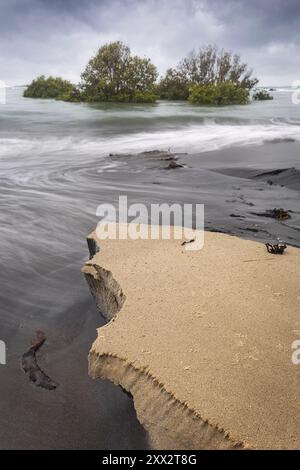 Ein Sandstrand neben einem Gewässer mit Bäumen im Ozean im Diggers Camp australia Stockfoto