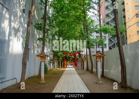 Torii von Hanazono Jinja. Der Hanazono Jinja-Schrein ist ein schintoistischer Schrein in der Stadt Shinjuku, Tokio, Japan. Dieser Schrein wurde im 17. Jahrhundert erbaut. Stockfoto