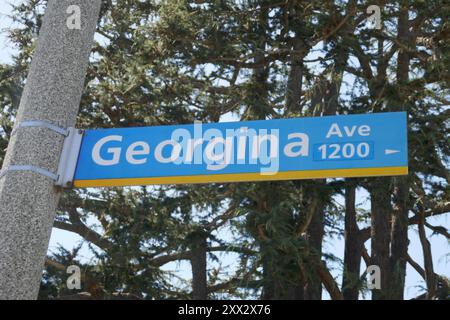 Santa Monica, Kalifornien, USA 19. August 2024 Georgina Avenue am 19. August 2024 in Santa Monica, Kalifornien, USA. Foto: Barry King/Alamy Stock Photo Stockfoto