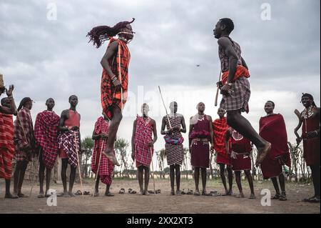 (240822) -- NAROK, 22. August 2024 (Xinhua) -- Maasai Dorfbewohner führen den traditionellen Tanz in einem Dorf im Masai Mara National Reserve in Narok, Kenia, am 21. August 2024 auf. Maasai, einer der wichtigsten Stämme Kenias, ist hauptsächlich im Süden und Südwesten an der Grenze zu Tansania verstreut. Der Stamm lebt immer noch auf nomadische Weise. Ihre Siedlung umfasst die weltberühmten Touristenziele Masai Mara National Reserve und Serengeti National Park. Mit der Entwicklung der lokalen Tourismusbranche haben die Maasai ihre Dörfer geöffnet, um die Touristen zu empfangen, um die Zahl der Touristen zu erhöhen Stockfoto