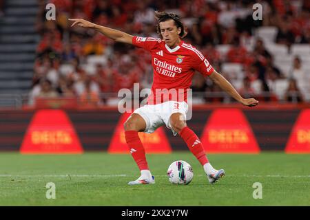 Lissabon, Portugal. August 2024. Alvaro Carreras (SL Benfica), das während des Spiels zwischen den Teams SL Benfica und Casa Pia AC im Estadio da Luz SL Benfica im Jahr 3-0 zu sehen war, gewann den Titel SOPA Images Limited/Alamy Live News Stockfoto