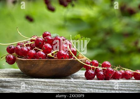 Frische rote Johannisbeeren in einer Holzschale auf einer rustikalen Holzoberfläche mit natürlichem grünem Hintergrund, die an Natur und Frische erinnert. Stockfoto