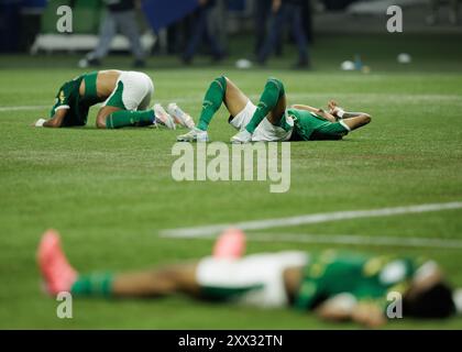 Sao Paulo, Brasilien. August 2024. Fußball - Libertadores Cup - Palmeiras gegen Botafogo - Allianz Parque Stadium. Palmeiras Spieler während des Spiels The Match Credit: Vilmar Bannach/Alamy Live News Stockfoto