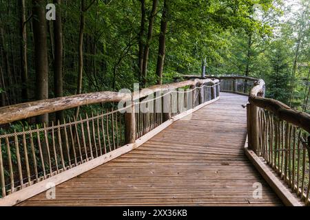 Ein geschwungener Holzsteg mit Seil- und Astgeländern windet sich durch grünen Wald im Nationalpark Eifel, Nordrhein-Westfalen, Deutschland. Stockfoto