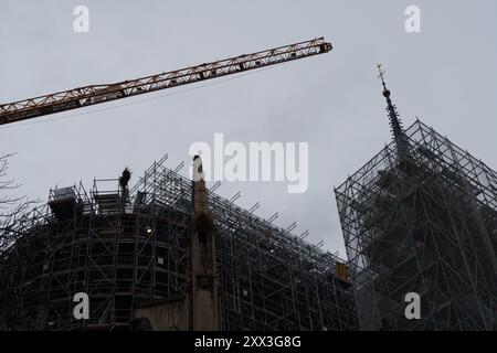 Reparaturen an der Kathedrale notre-Dame Stockfoto