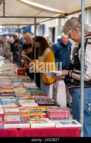 Dordrecht, Niederlande - 7. Juli 2024: Besucher entdecken auf dem jährlich stattfindenden Buchmarkt in Dordrecht, 350 Stände im gesamten Stadtzentrum Stockfoto