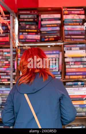 Dordrecht, Niederlande - 7. Juli 2024: Frau erkundet auf dem jährlichen Buchmarkt in Dordrecht, 350 Stände im Stadtzentrum, Stockfoto