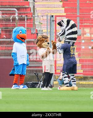 Unterhaching, Deutschland. August 2024. Jay das Zebra Maskottchen von Juventus, Mia FCB Frauen Maskottchen, Maskottchen der Allianz AG im Frauenfußballspiel FC BAYERN München - JUVENTUS TURIN 0-0 am 20. August 2024 in München. Saison 2024/2025, 1.Bundesliga, FCB, München, Google Pixel, Frauen Bundesliga Spieltag x, x.. Spieltag Fotograf: ddp Images/STAR-Images Credit: ddp Media GmbH/Alamy Live News Stockfoto