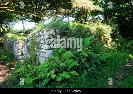 Die antiken Ruinen der Madron Chapel and Baptistry in der Nähe von Penzance, Cornwall - John Gollop Stockfoto