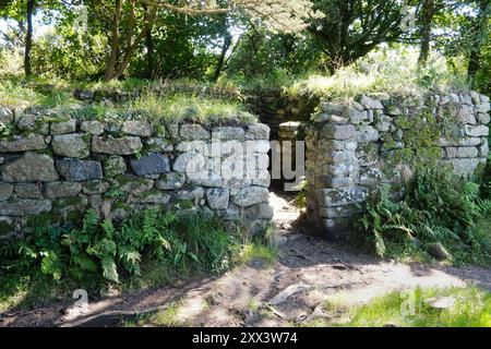 Die antiken Ruinen der Madron Chapel and Baptistry in der Nähe von Penzance, Cornwall - John Gollop Stockfoto