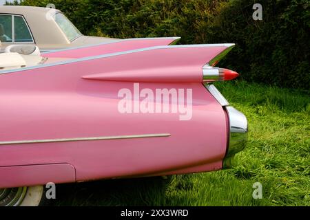 Der hintere Flügel einer pinkfarbenen Cadillac-Parade, die Pink Lady - John Gollop Stockfoto