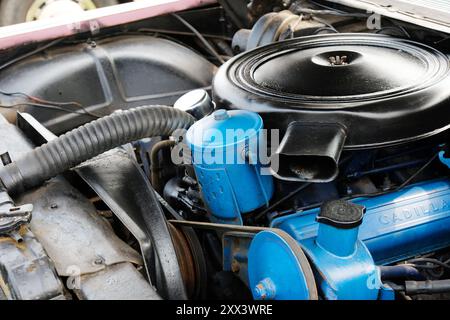 Nahaufnahme des Motors einer amerikanischen Cadillac-Parade - John Gollop Stockfoto