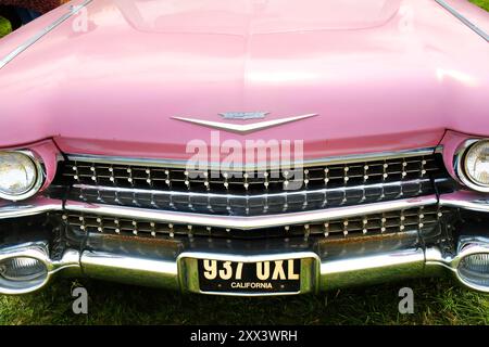 Vorderansicht einer pinkfarbenen Cadillac-Parade, der Pink Lady - John Gollop Stockfoto