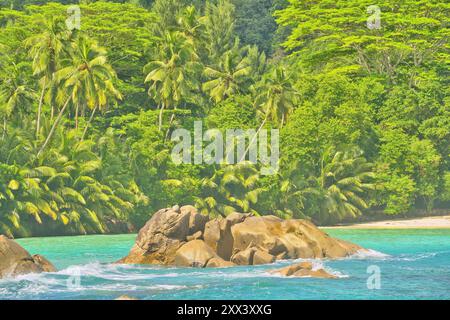 Riesige Granitsteine auf Mahe Island, türkisfarbener wassergrüner Hintergrund mit Palmen, Seychellen Stockfoto
