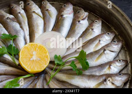 Frische, ungekochte Schellfische auf rustikalem Hintergrund, Konzept für rohen Wittling Stockfoto