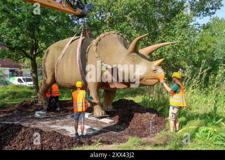 Wenn schwere Dinos fliegen - Modelle vor dem LWL-Museum für Naturkunde versetzt. Wahrzeichen des Museums kennzeichnen neuen Museumseingang. Das LWL-Museum für Naturkunde bekommt einen Anbau auf dem Museumsvorplatz. Für die Zeit der Bauarbeiten markieren die Dinos den neuen, vorübergehenden Eingang in das Museum. Münster, Nordrhein-Westfalen, DEU, Deutschland, 22.08.2024 *** als schwere Dinosaurier Fliegenmodelle vor dem Naturhistorischen Museum des LWL bewegten, markieren Wahrzeichen des Museums den neuen Museumseingang, für den das Naturhistorische Museum des LWL eine Erweiterung auf dem Museumsvorplatz erhält Stockfoto