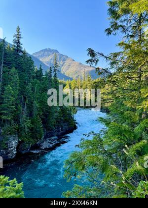 Der Avalanche Creek verläuft zwischen den umliegenden Gipfeln entlang des Trail of the Cedars. Glacier-Nationalpark, MT Stockfoto