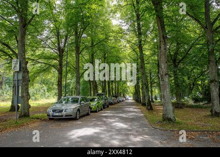 Sonniger Sommertag im Stadtpark Grenadjärparken. Dies ist ein historischer Park in Linköping, einer berühmten Universitätsstadt in Schweden. Stockfoto