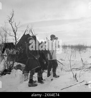 Aktuell 09-1949: Der Wolfkrieg mit Flugzeugen und Raupenfahrzeugen derzeit sind die Mitarbeiter an der Wolfsjagd in Finnmark beteiligt. - Der Rentierjäger Samuel Johnsen Anti bringt dem Jäger per Elvebak wichtige Informationen aus Kirkenes, aber es gab keine Wölfe. Es passt! Foto; Sverre A. Børretzen / aktuell / NTB ***FOTO NICHT VERARBEITET*** dieser Bildtext wird automatisch übersetzt Stockfoto