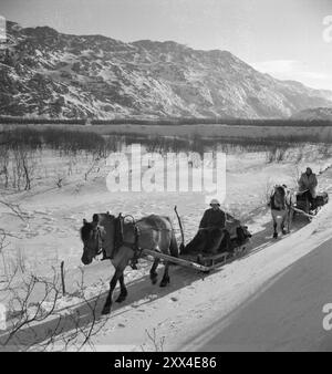 Aktuell 08-1949: Nichts Neues von der Grenze im Norden. Foto: Sverre A. Børretzen / aktuell / NTB ***das Foto ist nicht bearbeitetes Bild*** dieser Bildtext wird automatisch übersetzt Stockfoto