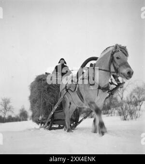 Aktuell 08-1949: Nichts Neues von der Grenze im Norden. Foto: Sverre A. Børretzen / aktuell / NTB ***das Foto ist nicht bearbeitetes Bild*** dieser Bildtext wird automatisch übersetzt Stockfoto