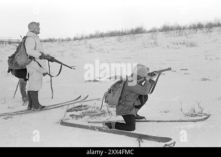 Aktuell 09-1949: Der Wolfkrieg mit Flugzeugen und Raupenfahrzeugen derzeit sind die Mitarbeiter an der Wolfsjagd in Finnmark beteiligt. - Etwas Verdächtiges rührt sich in den Büschen, und Bjørn Larsen aus Sandefjord reagiert nicht langsam. Aber diesmal gab es auch keine Wölfe. Foto; Sverre A. Børretzen / aktuell / NTB ***FOTO NICHT VERARBEITET*** dieser Bildtext wird automatisch übersetzt Stockfoto