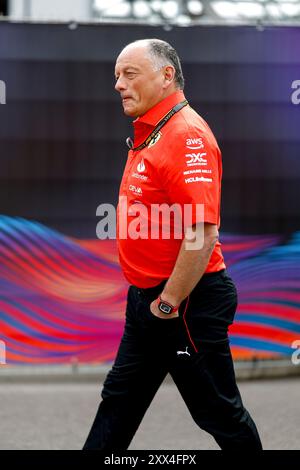 Zandvoort, Niederlande. August 2024. Frederic Vasseur (FRA, Scuderia Ferrari HP), der Formel 1 Grand Prix der Niederlande auf dem Circuit Zandvoort am 22. August 2024 in Zandvoort, Niederlande. (Foto von HOCH ZWEI) Credit: dpa/Alamy Live News Stockfoto