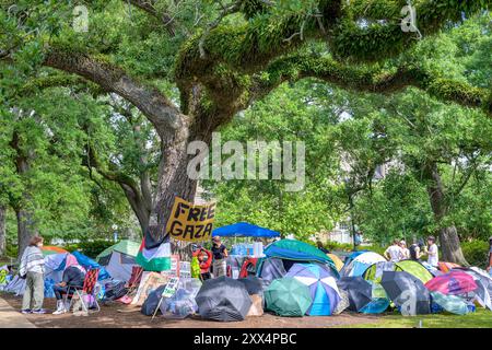 NEW ORLEANS, LA, USA – 30. APRIL 2024: Pro-palästinensische Demonstranten lagern unter einer großen Eiche an der Tulane University Stockfoto