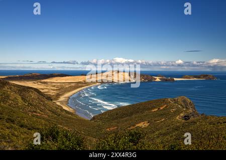 Wellen stürzen an einem wunderschönen Strand am Cape Reinga an der äußersten Nordspitze der Nordinsel Neuseelands, wo Tasmansee und Pazifik aufeinander treffen. Stockfoto