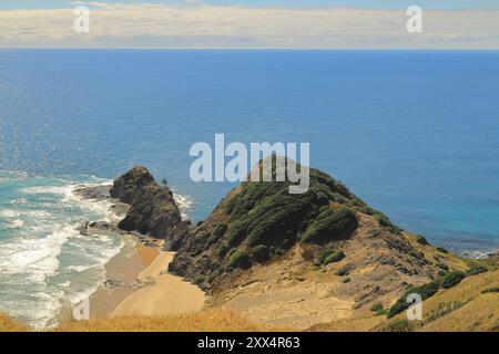 Wellen stürzen an einem wunderschönen Strand am Cape Reinga an der äußersten Nordspitze der Nordinsel Neuseelands, wo Tasmansee und Pazifik aufeinander treffen. Stockfoto