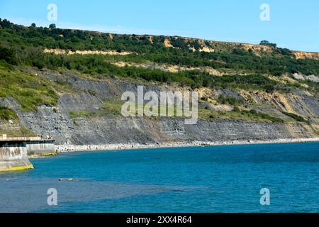 Die Blue Lias, ein vorherrschendes Merkmal der Klippen um Lyme Regis und Charmouth, an der Jurassic Coast in Dorset, Stockfoto