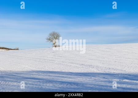 Ein verschneite Feld im Winter im Sauerland Stockfoto