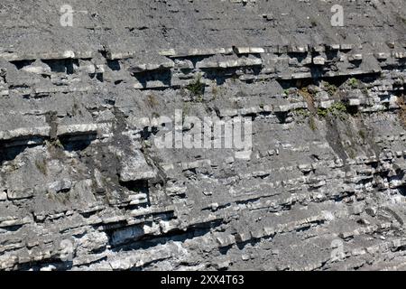 Nahaufnahme von Blue Lias, einem vorherrschenden Merkmal der Klippen um Lyme Regis und Charmouth, an der Jurassic Coast in Dorset, Stockfoto