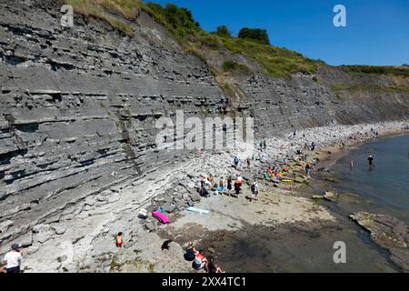 Nahaufnahme von Blue Lias, einem vorherrschenden Merkmal der Klippen um Lyme Regis und Charmouth, an der Jurassic Coast in Dorset, Stockfoto