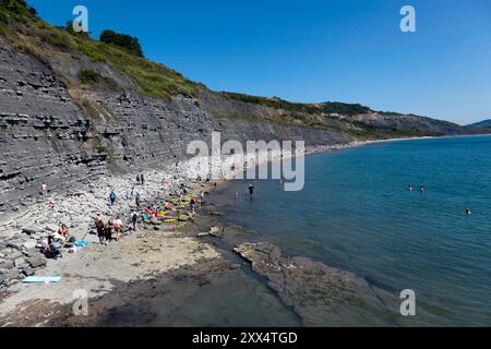 Die Blue Lias, ein vorherrschendes Merkmal der Klippen um Lyme Regis und Charmouth, an der Jurassic Coast in Dorset, Stockfoto