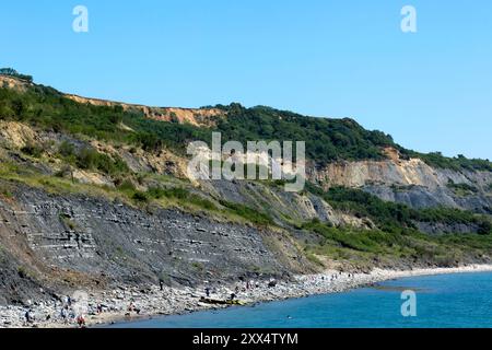 Die Blue Lias, ein vorherrschendes Merkmal der Klippen um Lyme Regis und Charmouth, an der Jurassic Coast in Dorset, Stockfoto