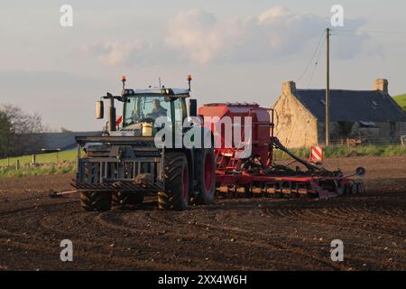 Ein Fendt-Traktor und Horsch-Scheibenbohrer in Evening Sunshine säen ein Feld mit Gerste im Frühjahr Stockfoto