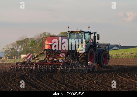 Ein Green Fendt Traktor mit einer Red Disc Drill, von hinten gesehen, arbeitet bei Abendsonne Stockfoto