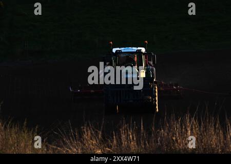 Ein Fendt-Traktor, der mit einem Horsch-Scheibenbohrer Gerste sät, taucht aus Shade in die spätabendliche Sonne auf Stockfoto