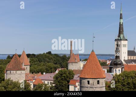 Panoramablick auf die Altstadt, Tallinn, Estland, Europa. Stockfoto