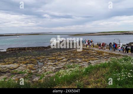 Nach einem Besuch der Farne-Inseln, Northumberland, England, Großbritannien, warten die Menschen auf ihrem Ausflugsboot Stockfoto
