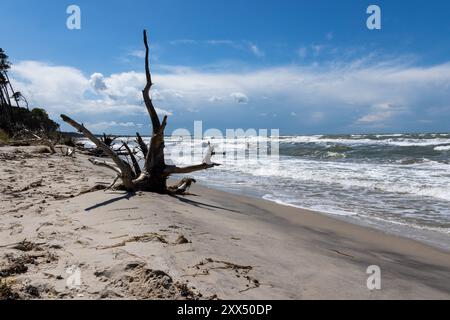 Weststrand Stockfoto