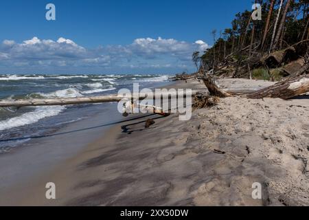 Wanderung am Weststrand Stockfoto