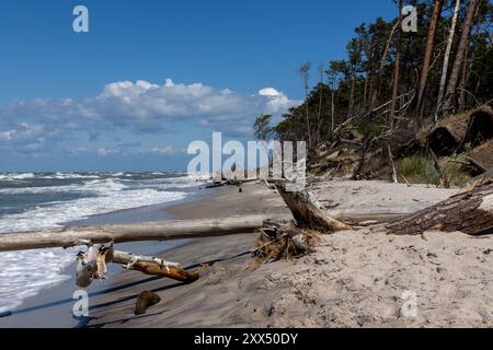 Wanderung am Weststrand Stockfoto