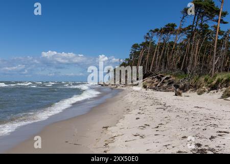 Wanderung am Weststrand Stockfoto