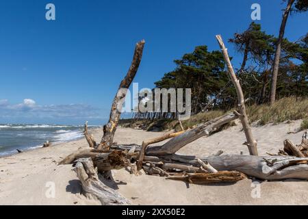 Wanderung am Weststrand Stockfoto