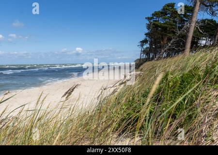 Wanderung am Weststrand Stockfoto