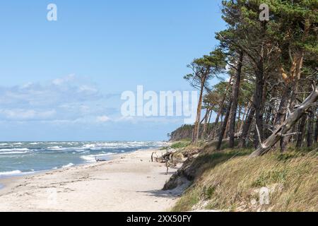 Wanderung am Weststrand Stockfoto